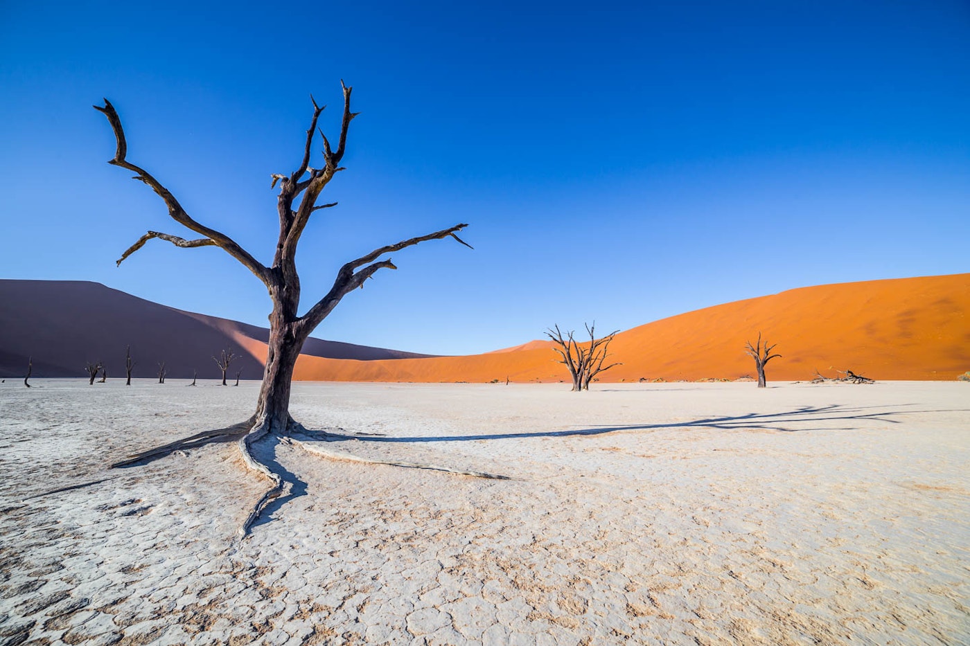 Sunrise Over the Dunes in Sossusvlei