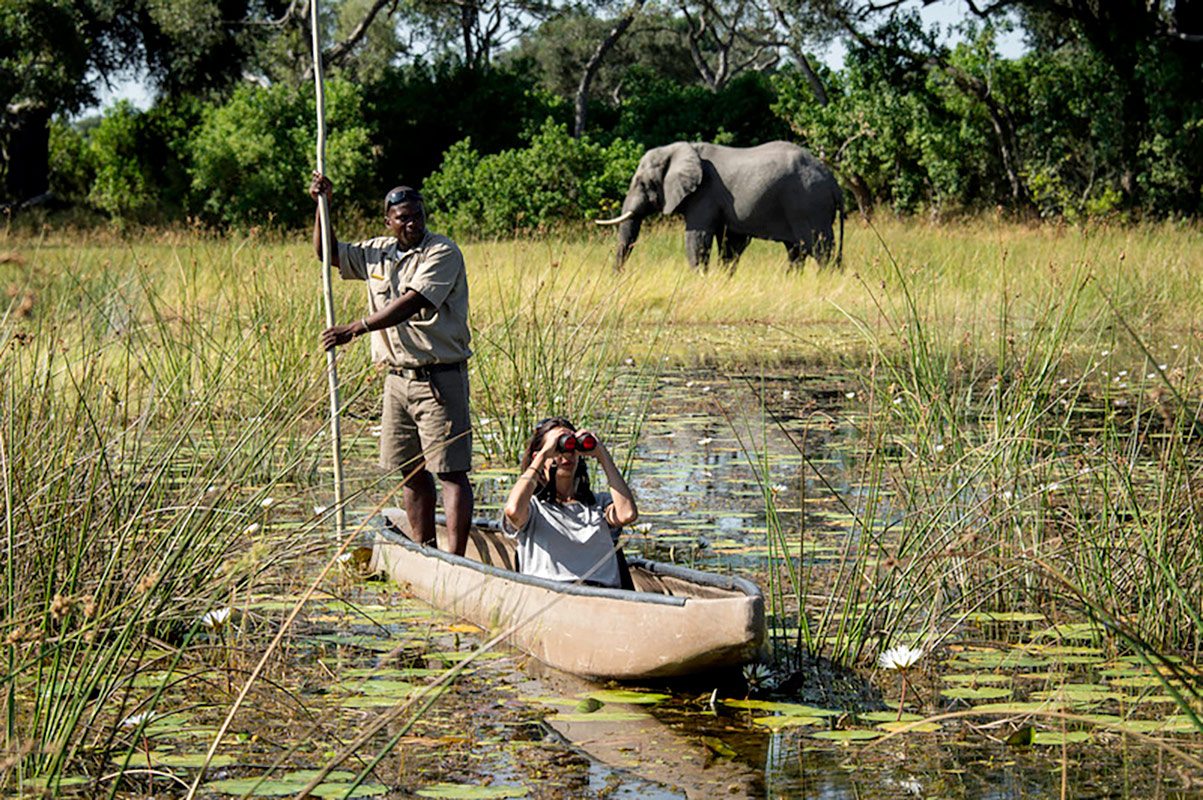 Mokoro Canoe Safari in the Okavango Delta