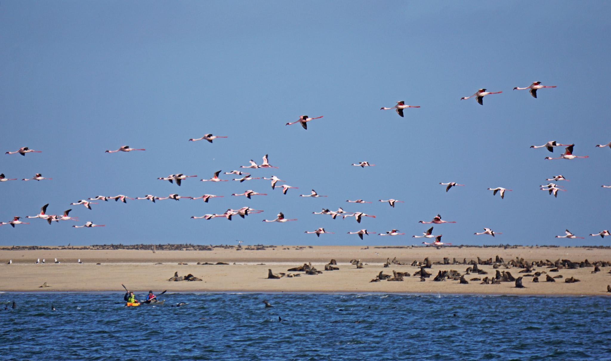 Walvis Bay in Namibia