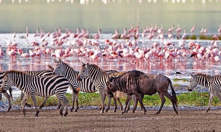 Lake Manyara National Park in Tanzania