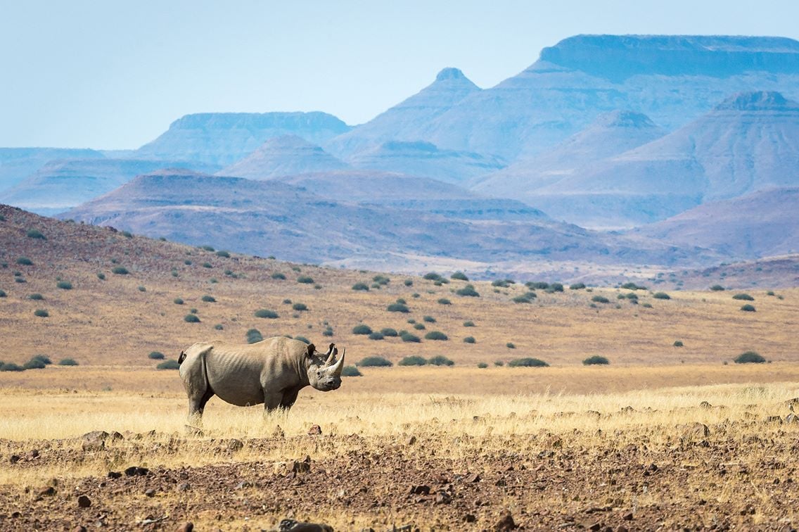 Wildlife and Cultural Exploration in Damaraland
