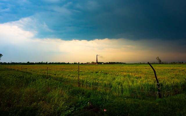 Climate — lighter footprint and nature-based action