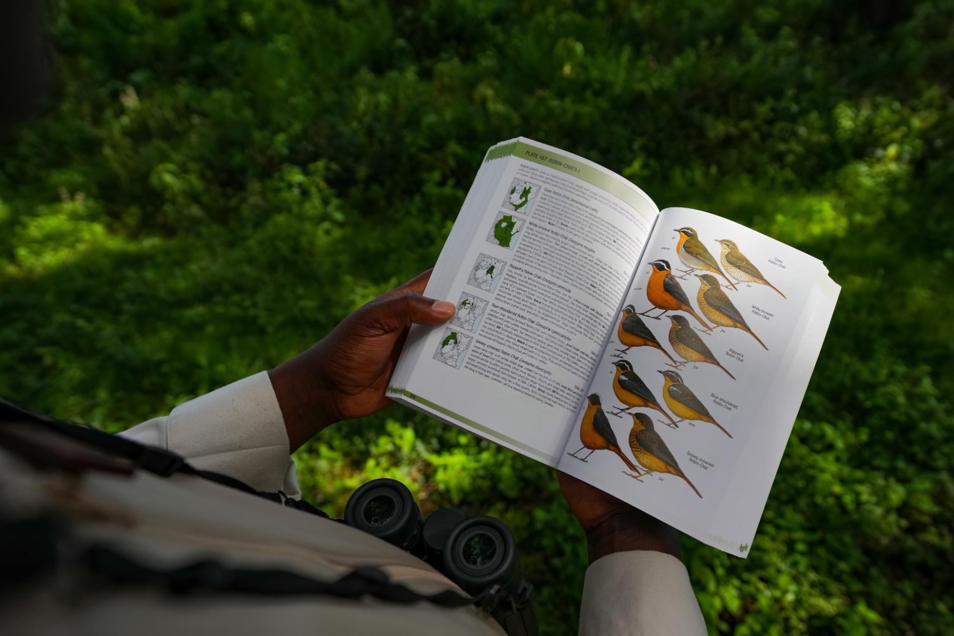 Responsible Travel & Carbon Offsetting