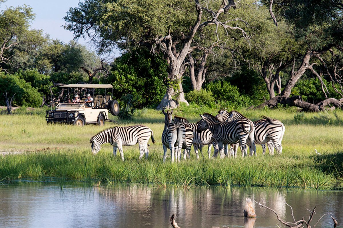 Okavango Delta Luxury Safari