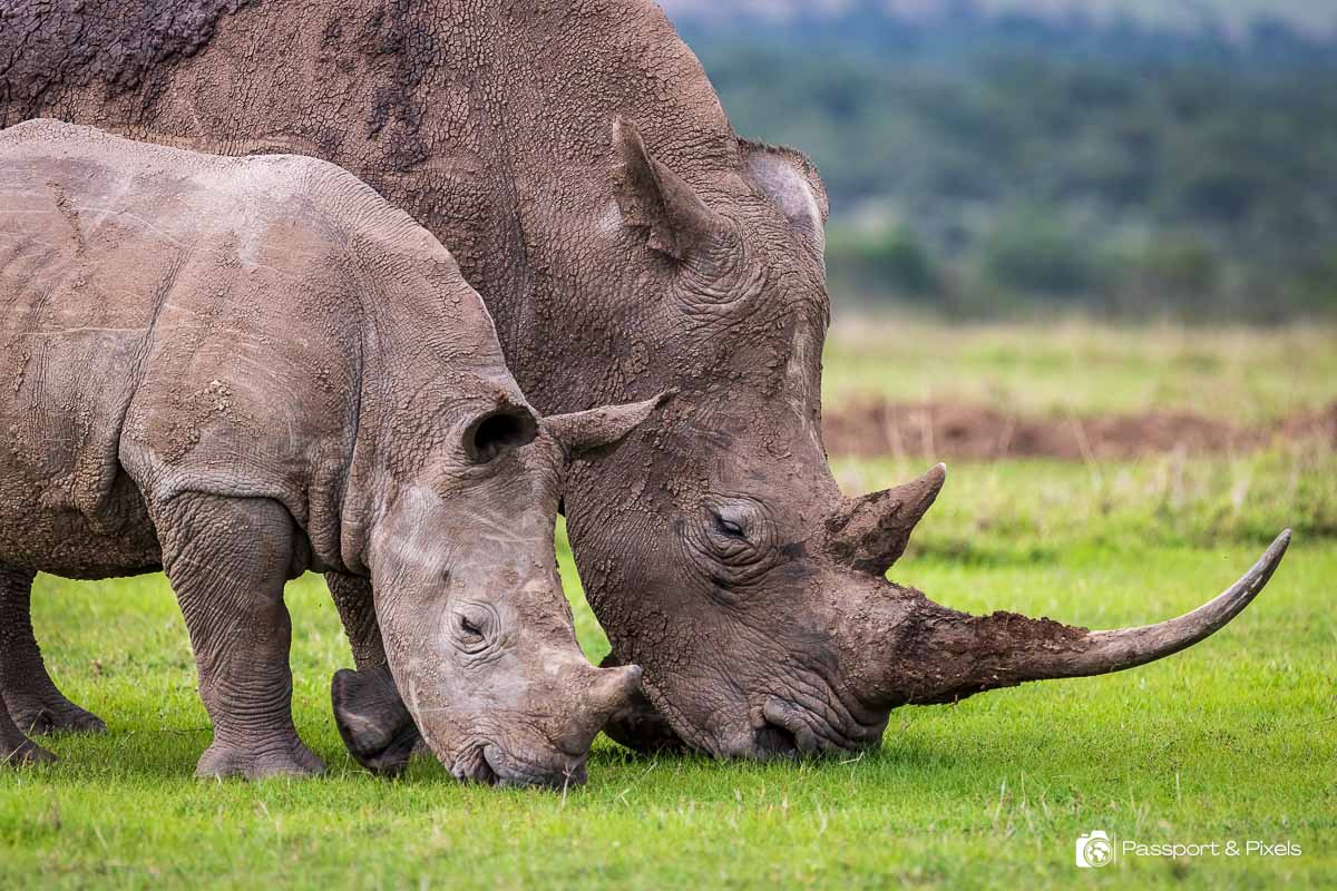 Ultimate Kenya Luxury Retreat gallery