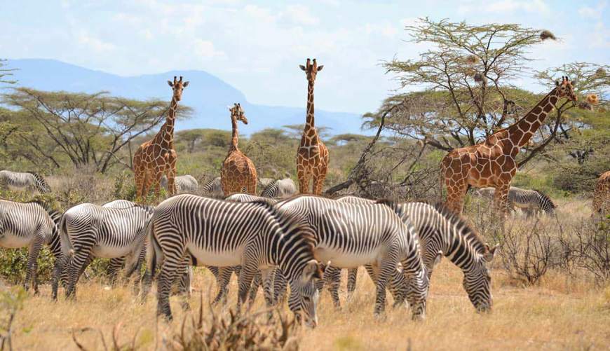 Samburu Excursions